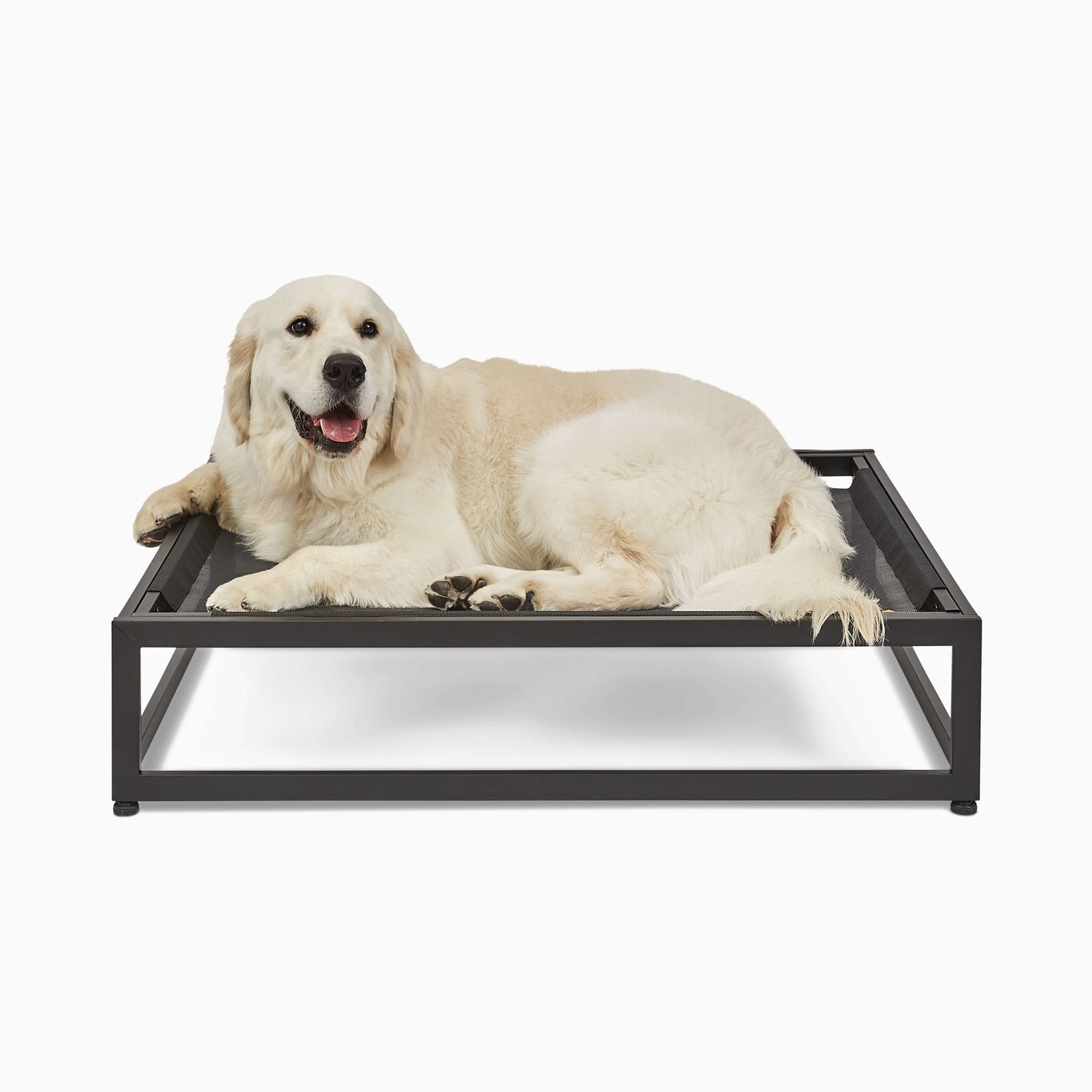 The Up Pup Dog Bed | Elevated Chew-Resistant Raised Dog Cot with Breathable Mesh & Rust-Proof Metal Frame (S–XL)