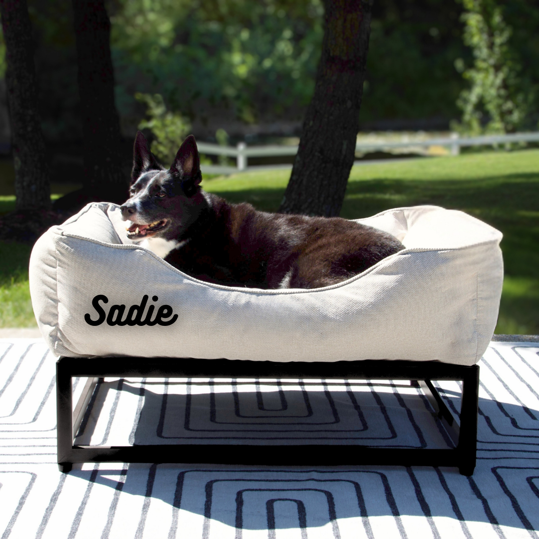 The FÜZI Elevated Dog Bed – Oat Performance Fabric on Black Metal Base (S/M/L/XL)