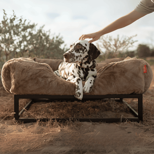 The FÜZI Elevated Dog Bed – Light Brown Bolster & Black Metal Base (S/M/L)