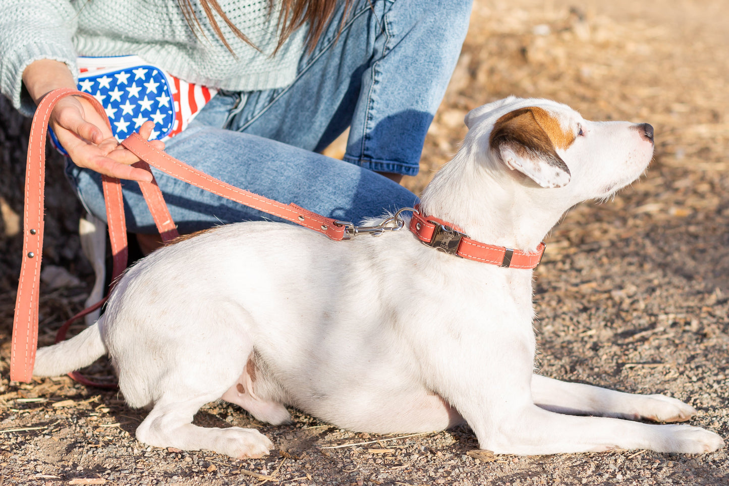 Bestseller Quick-Release Dog Collar – Coral Reef Full-Grain American Leather with European Steel Buckle, Adjustable Fit for All Breeds