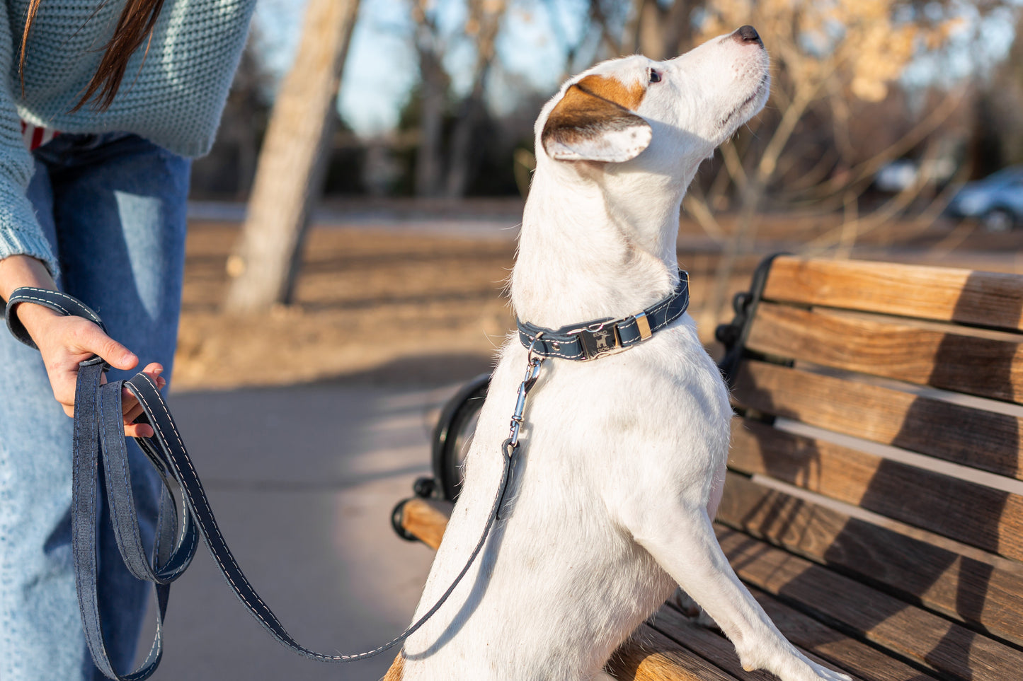 estseller Quick-Release Dog Collar – Blue Jeans Full-Grain American Leather with European Steel Buckle, Adjustable Fit for All Breeds
