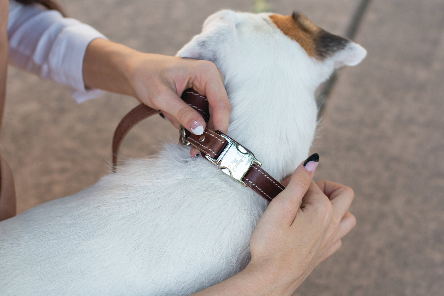 Bestseller Quick-Release Dog Collar – Chocolate Brown Full-Grain American Leather with European Steel Buckle, Adjustable Fit for All Breeds