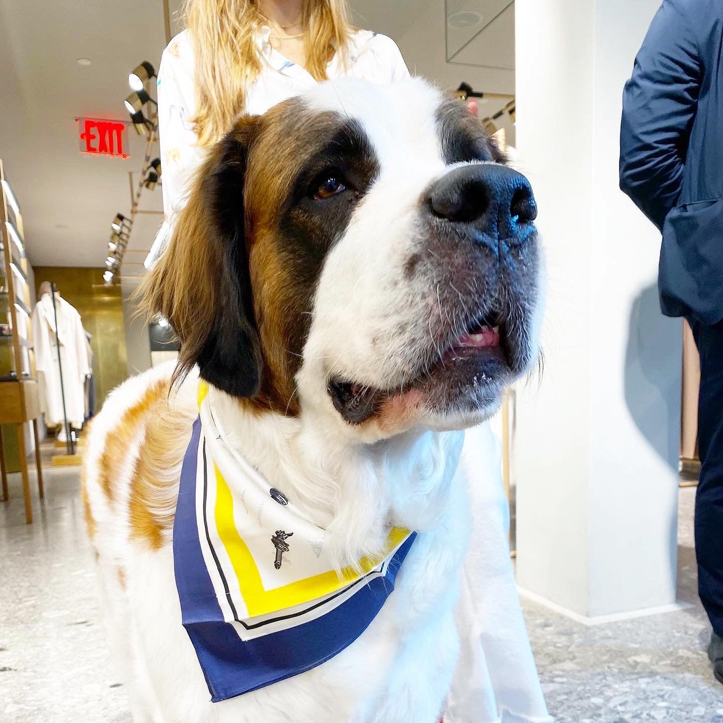 Erin 100% Silk Twill Dog Scarf & Bandana | Luxury Designer Silk Pet Accessory