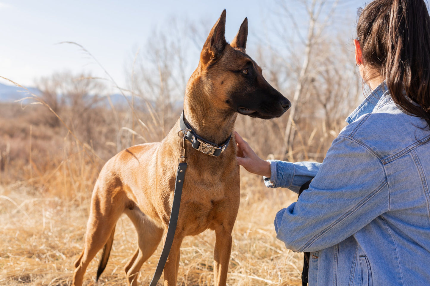 Modern Style Quick-Release Dog Collar – Blue Jeans Full-Grain American Leather with European Steel Hardware, Made in USA