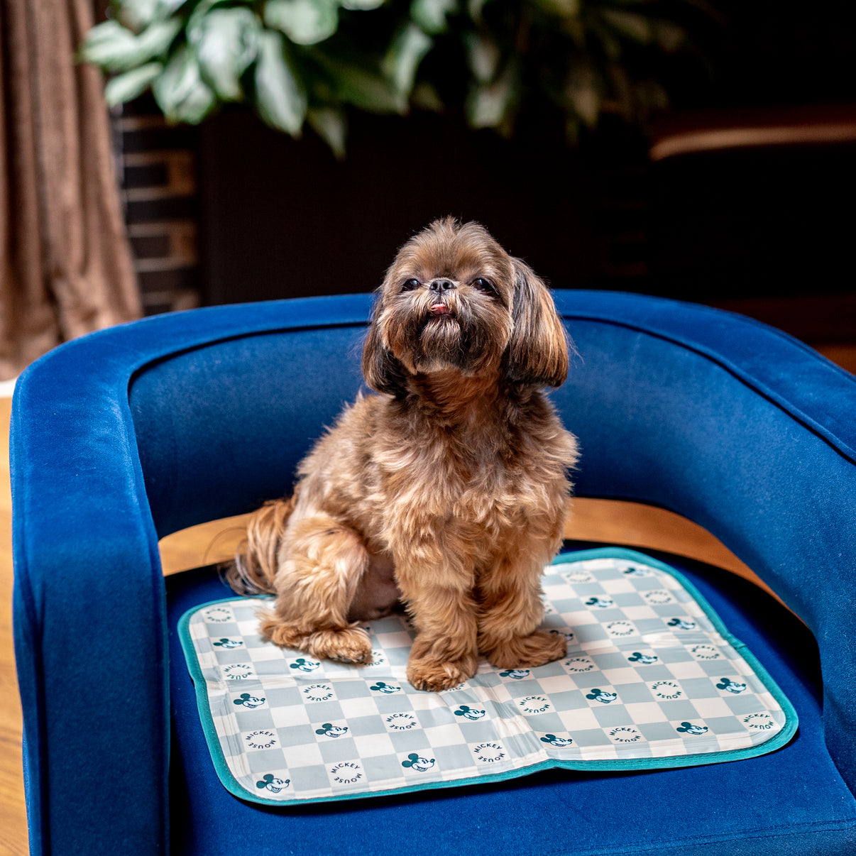 Disney Mickey Mouse Cool Pet Pad-XL-