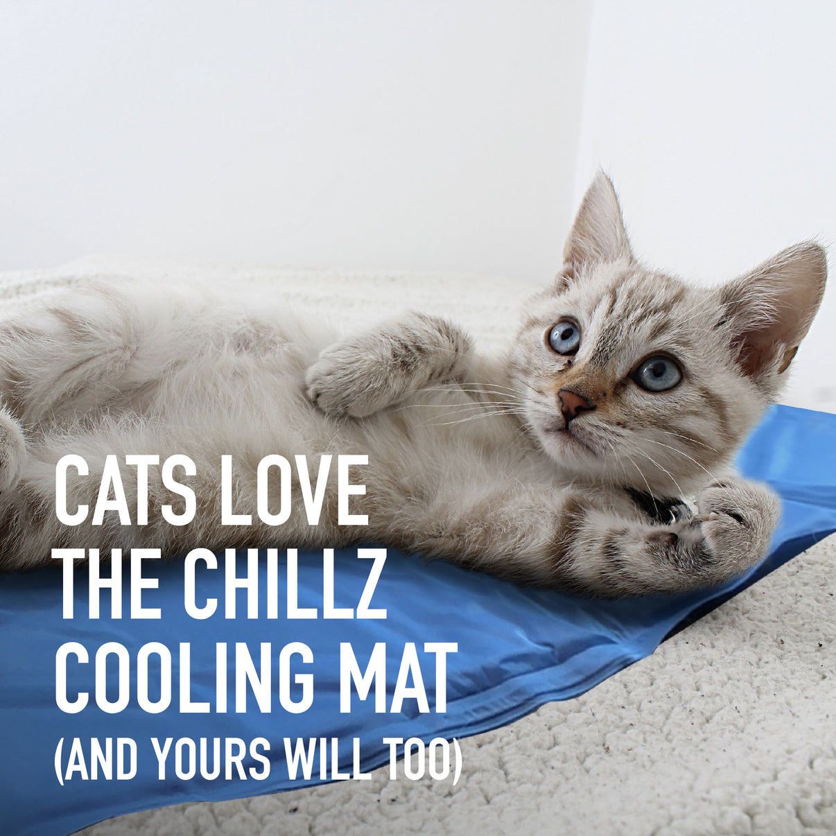 Chillz Gel Mat – XL, Blue | Non-Toxic Pressure-Activated Pet Cooling Pad, No Electricity or Refrigeration Needed