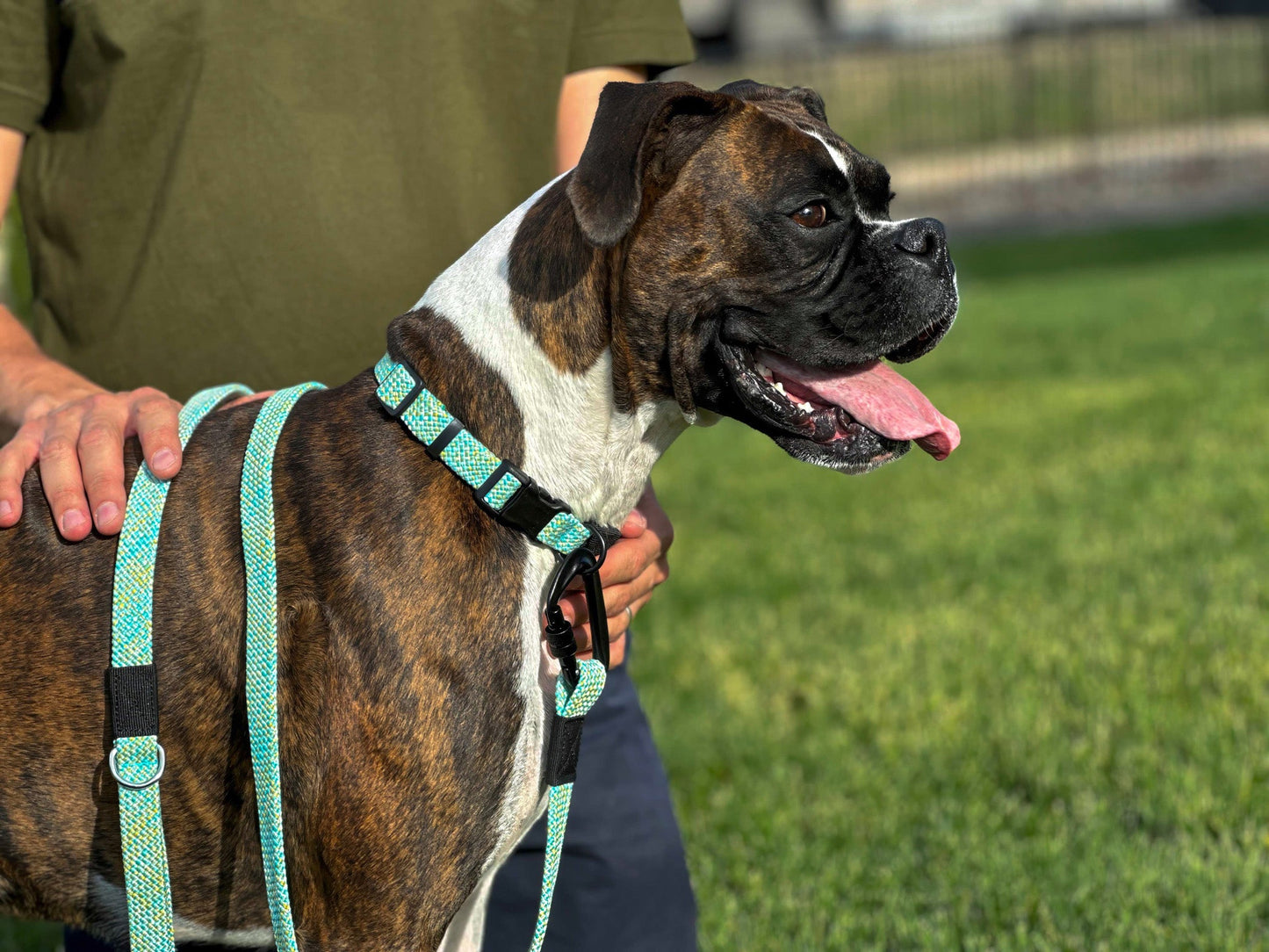 Adventure Style Flat Weave Mountain Wave Nylon Climbing Rope Dog Collar – Durable Design with YKK Polyacetal Strong Buckle