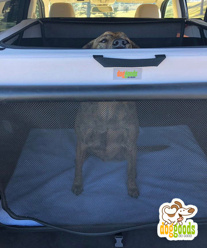 The Foldable Travel Dog Crate By DogGoods ™