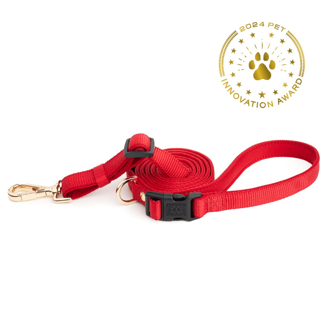 Dogistry City Adjustable-Length Hands-Free Dog Leash – Iconic Red with 2–5 ft Range, Dual Width Options, and Award-Winning Comfort Design
