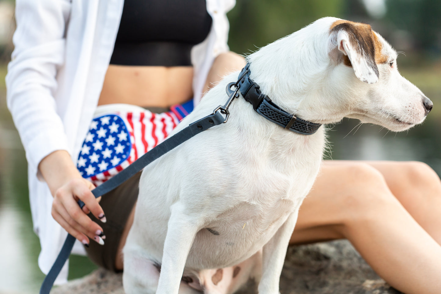 Celtic Sport Quick-Release Dog Collar – Blue Jeans Leather with Black Hardware, Celtic Fire & Water Rune Design, and YKK Buckle