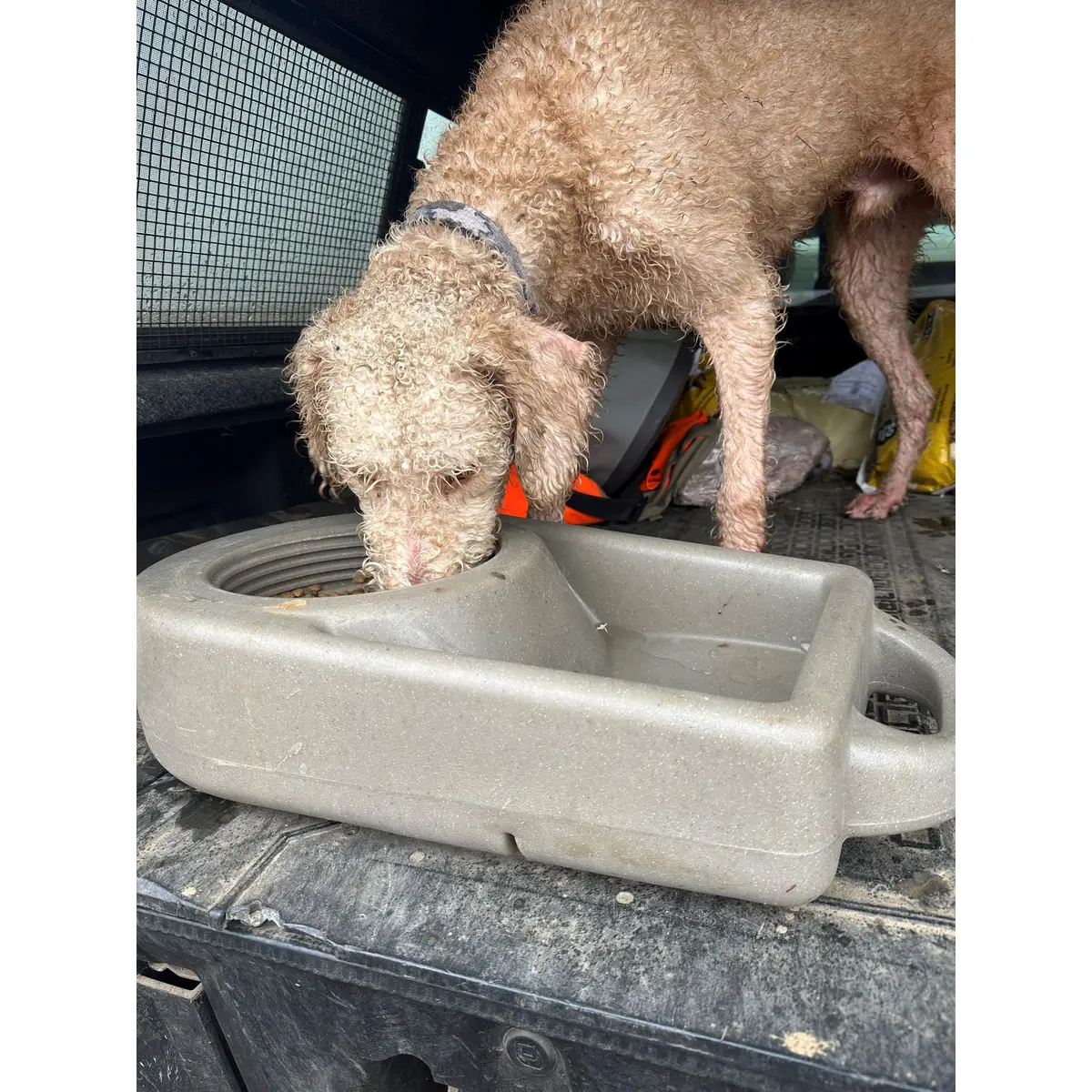 Dakota 283 Dine N Dash Dog Feeding System with Dakota Guard Antimicrobial – Coyote Granite, Dark Granite, Olive & Orange