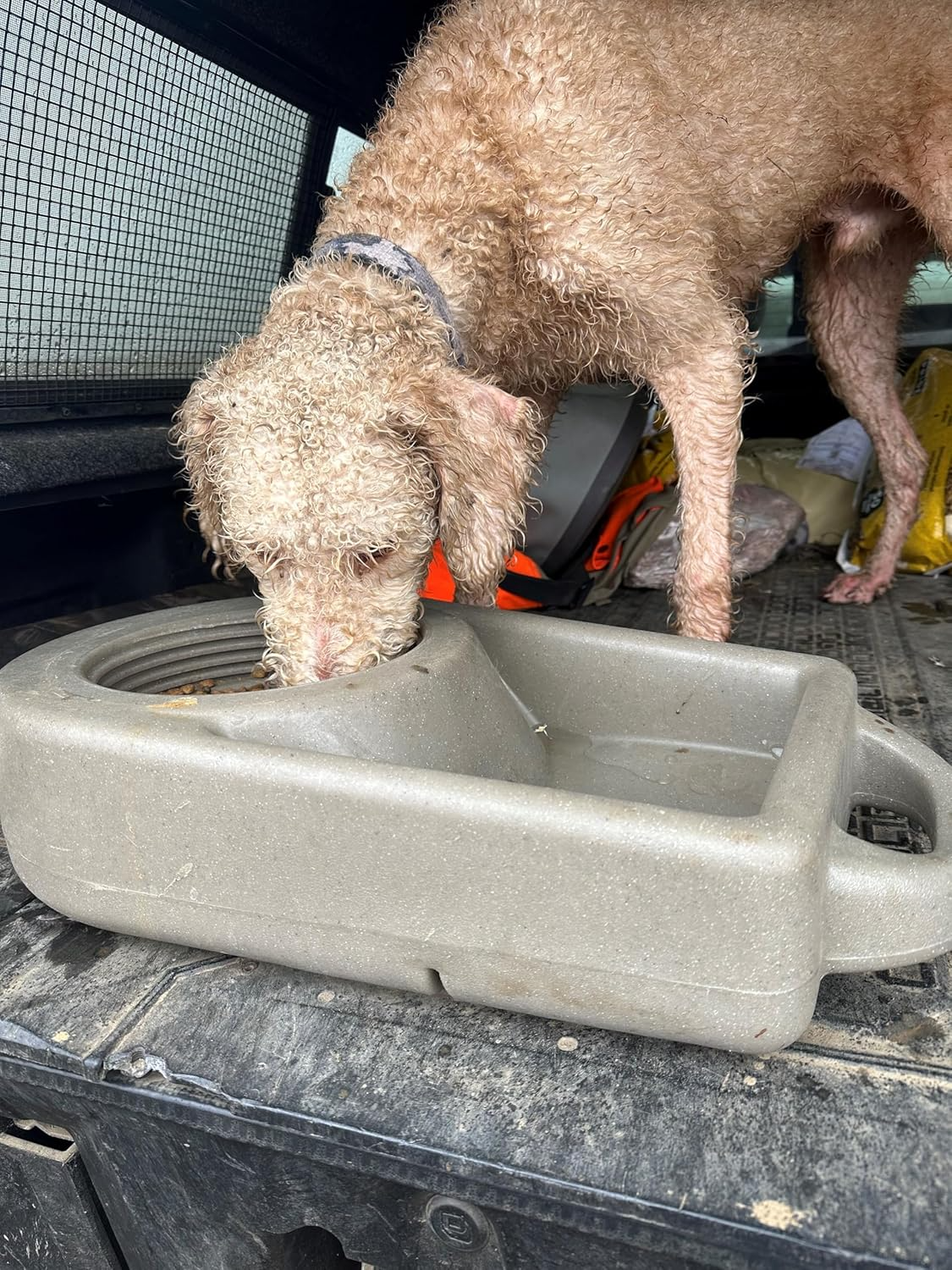 Dakota 283 Dine N Dash Dog Feeding System – Coyote Granite, Dark Granite, Olive & Orange