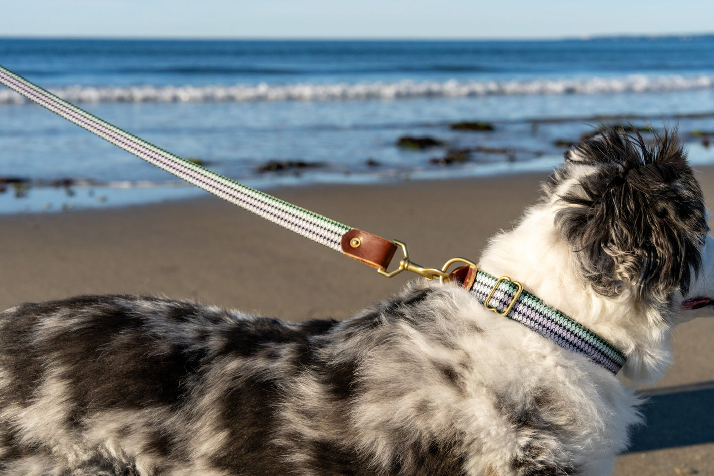 Adjustable Dog Leash – Heavy-Duty Leather & Brass Outdoor Leash (Fish & Upland Prints)