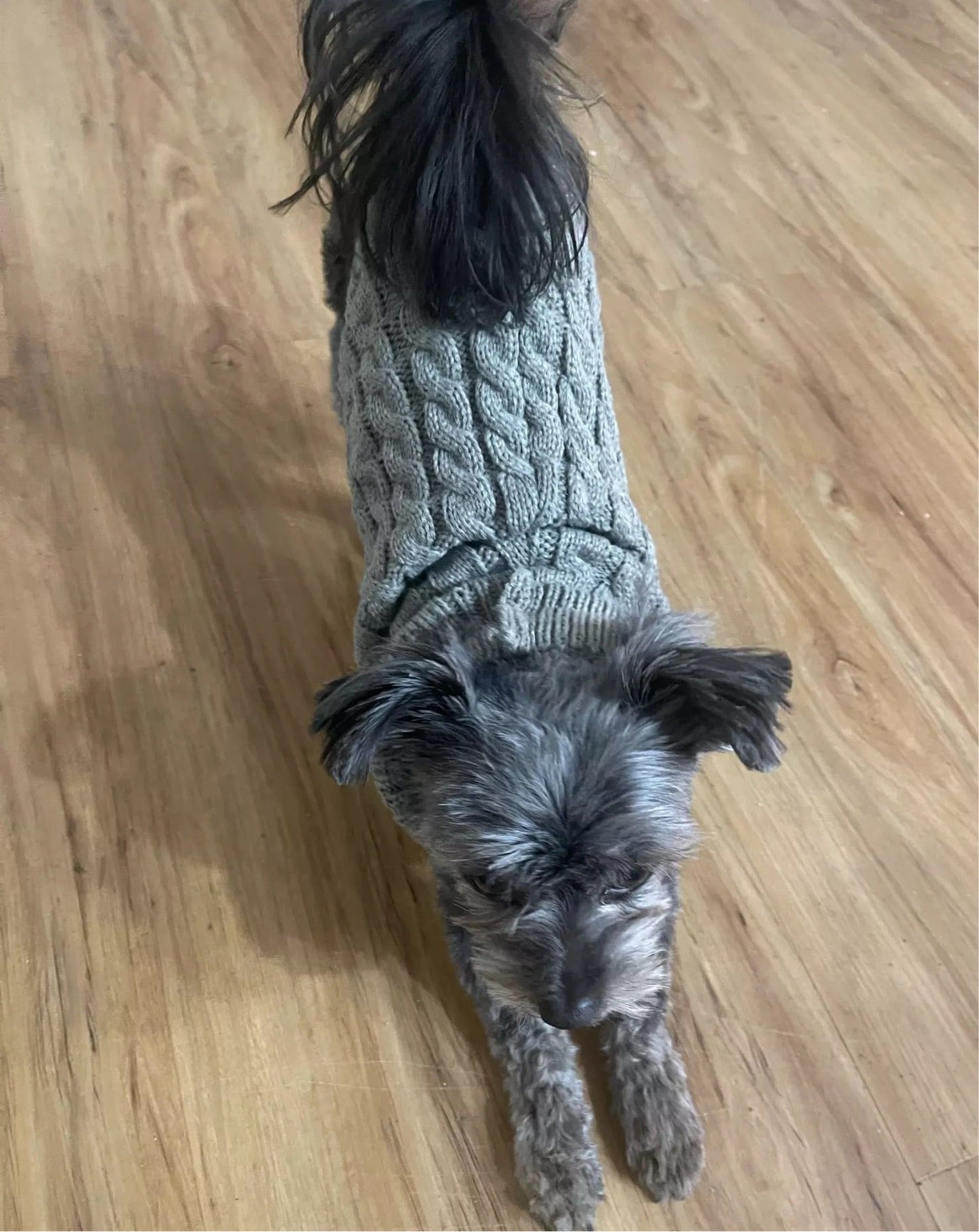 Cable Knit Turtleneck Dog Sweater – Classic Chunky Knit Warm Cotton Sweater for Small Dogs | Posh Dog Life