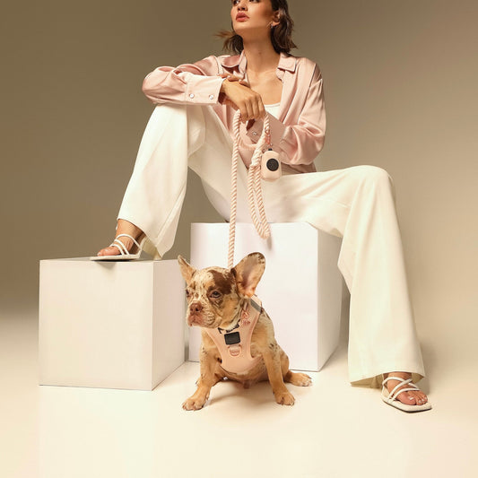 Poop Bag Holder “Blush” – Durable Pink Cotton Twill Waste Bag Dispenser with Rose Gold Clasp, Fits Standard Rolls & Includes Bags