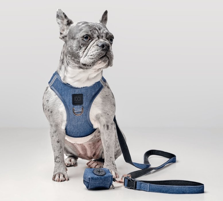 Poop Bag Holder “Denim” – Stylish Cotton Twill Waste Bag Dispenser with Rose Gold Clasp, Fits Standard Rolls & Includes Bags
