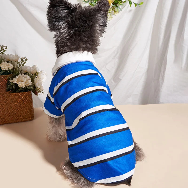 Blue Striped Polo Dog Shirt – Classic Lightweight Summer Polo for Small & Medium Dogs (XS–XL)