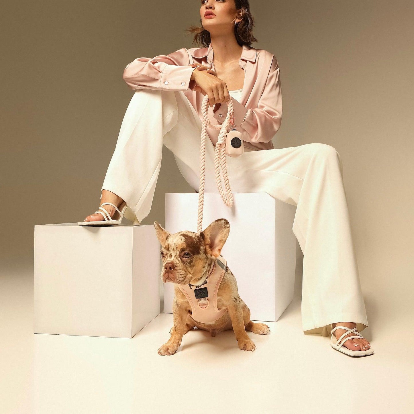 Dogistry SoHo No-Pull Step-In Dog Harness – Blush Pink with Front D-Ring, Adjustable Velcro & Buckle Closures, Escape-Resistant Luxury Design