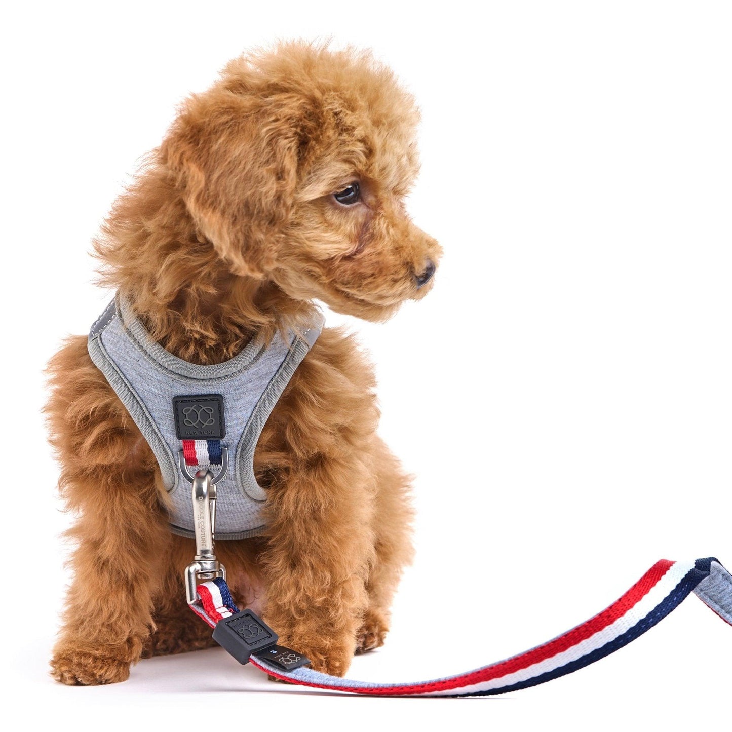Dogistry SoHo No-Pull Step-In Dog Harness – Champion Gray with Front D-Ring, Adjustable Velcro & Buckle Closures, Escape-Resistant Luxury Design
