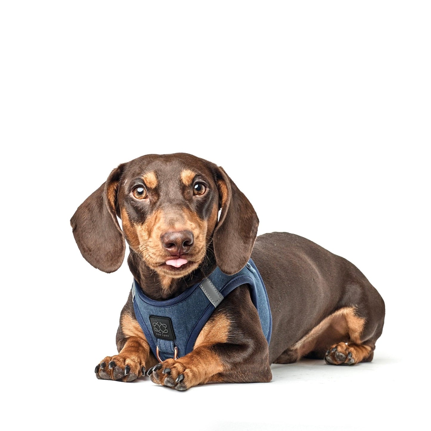 Dogistry SoHo No-Pull Step-In Dog Harness – Denim Blue with Rose Gold Front D-Ring, Adjustable Velcro & Buckle Closures, Escape-Resistant Luxury Design
