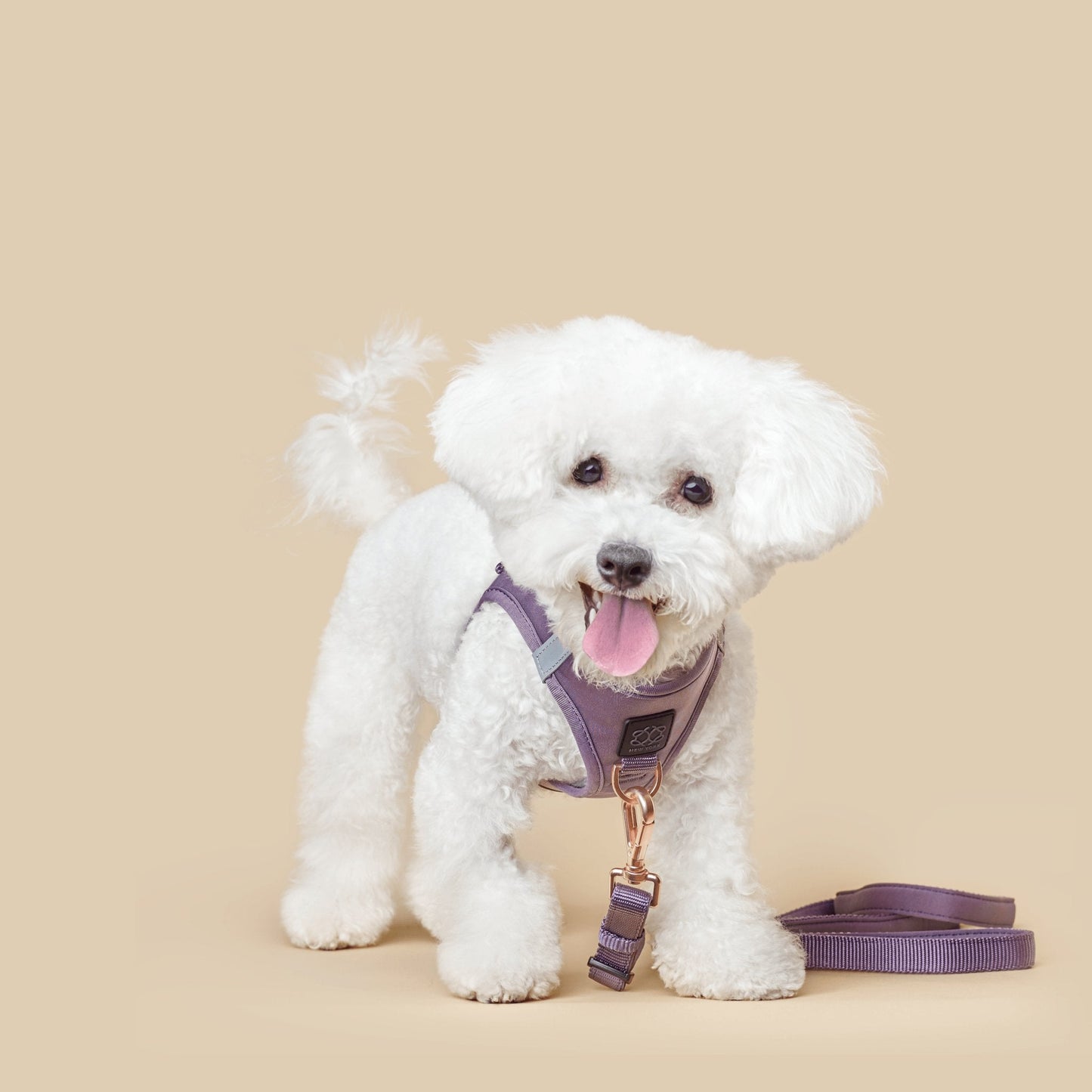 Dogistry SoHo No-Pull Step-In Dog Harness – Lilac Gray with Front D-Ring, Adjustable Velcro & Buckle Closures, Escape-Resistant Luxury Design