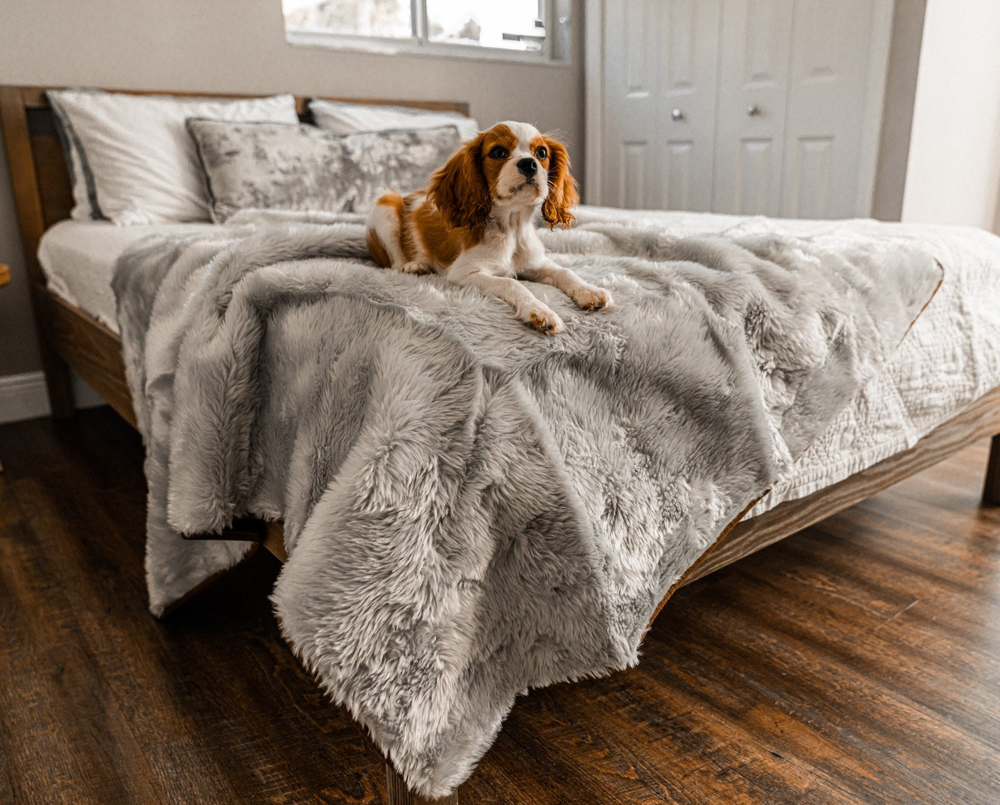 "PupProtector™ Cool Comfort Waterproof Throw Blanket - Grey "