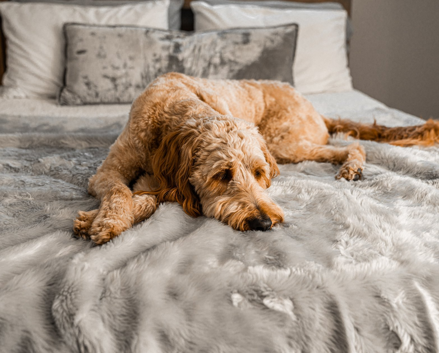 "PupProtector™ Cool Comfort Waterproof Throw Blanket - Grey "
