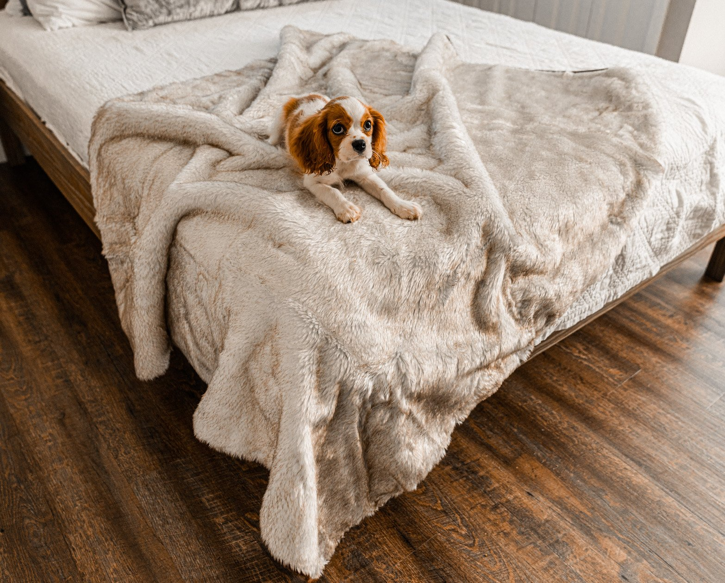 PupProtector™ Cool Comfort Waterproof Throw Blanket - White with Brown Accents