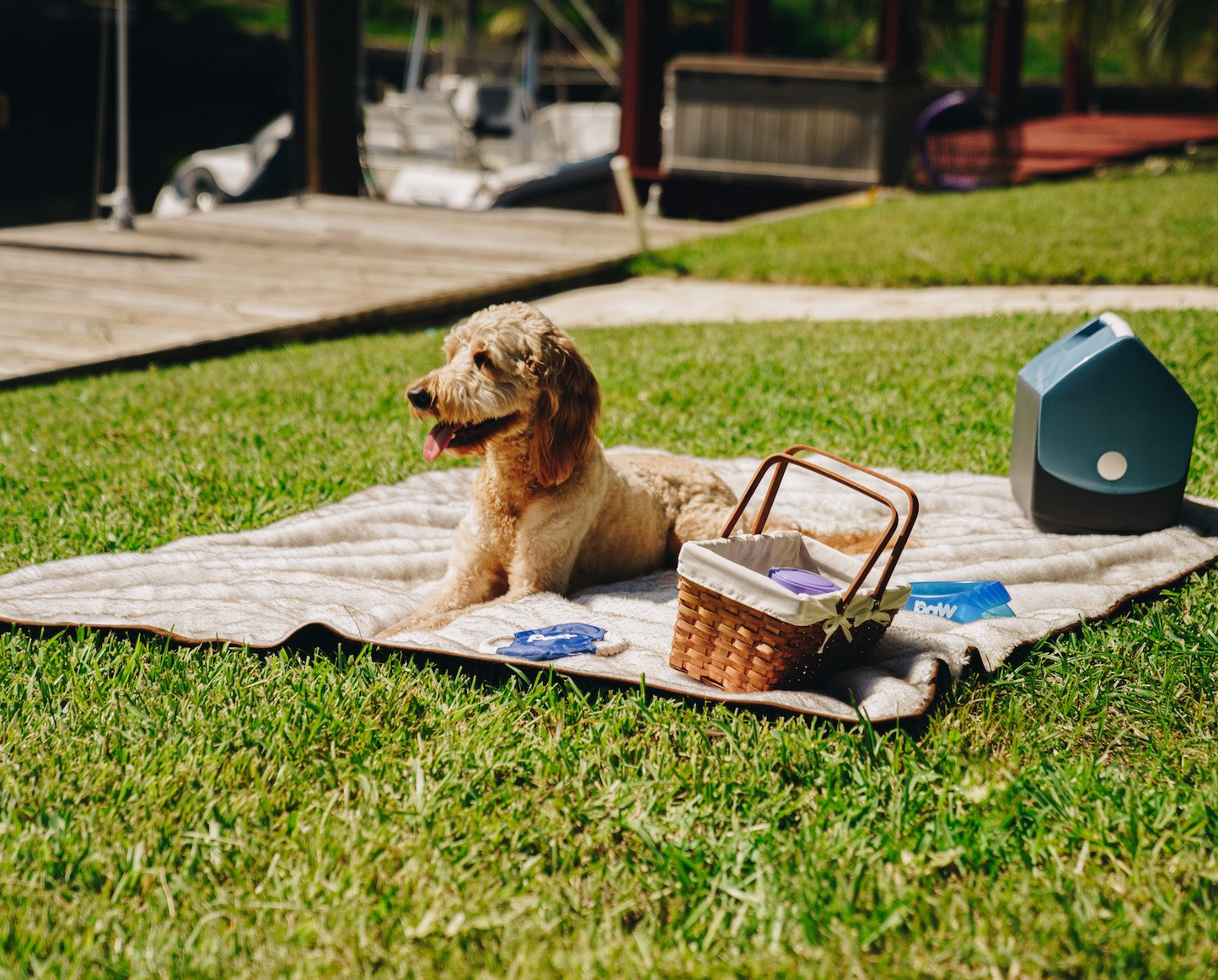 PupProtector™ Cool Comfort Waterproof Throw Blanket - White with Brown Accents