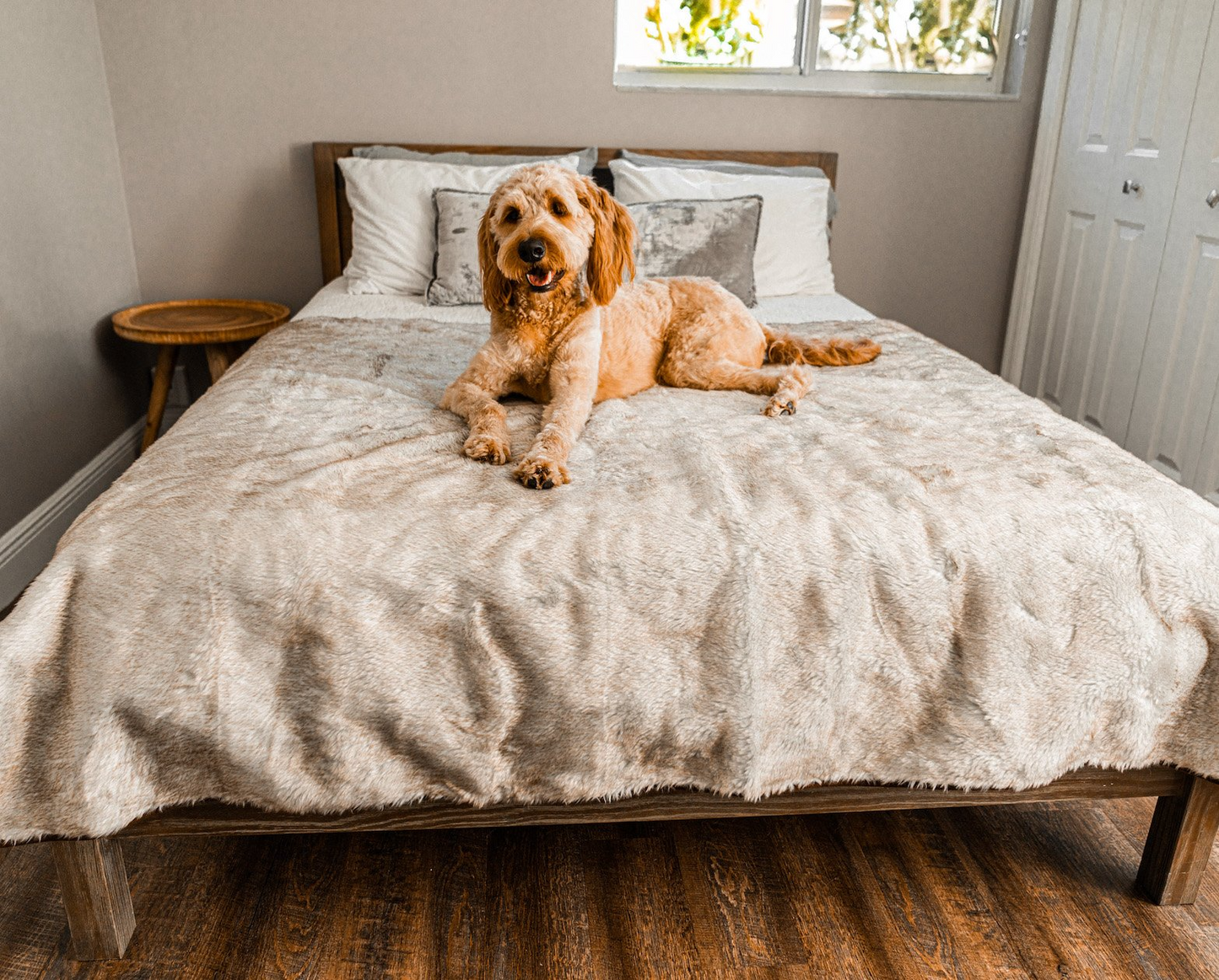 PupProtector™ Cool Comfort Waterproof Throw Blanket - White with Brown Accents