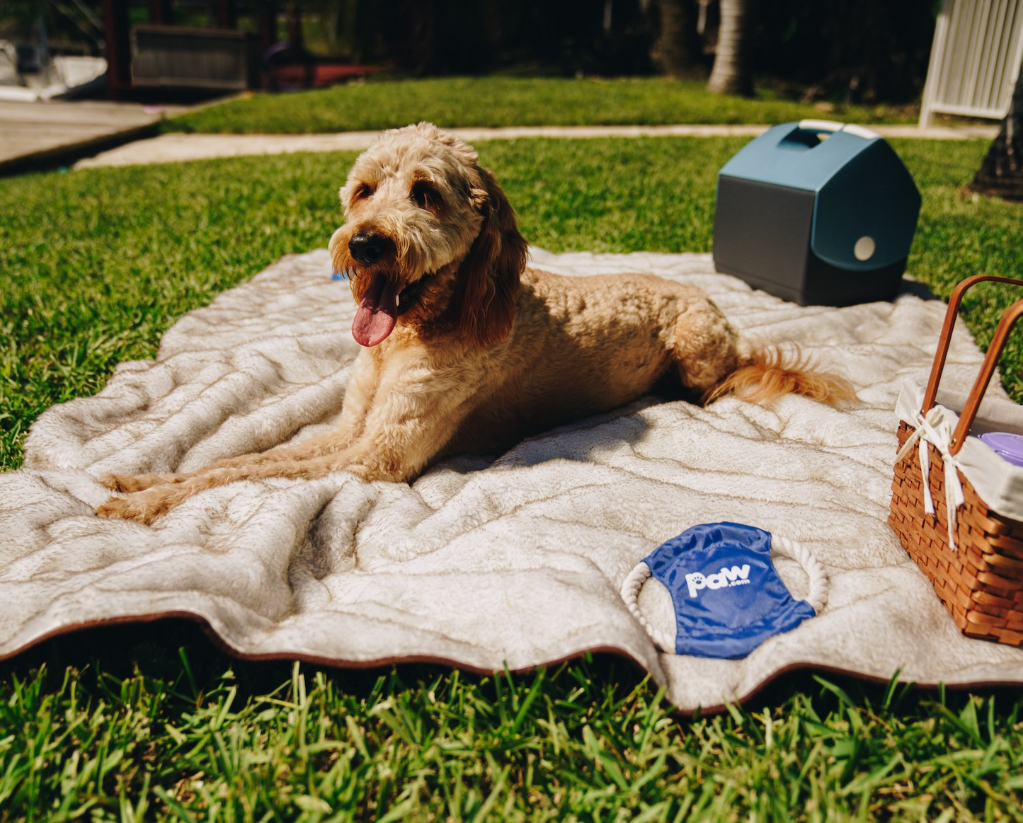 PupProtector™ Cool Comfort Waterproof Throw Blanket - White with Brown Accents