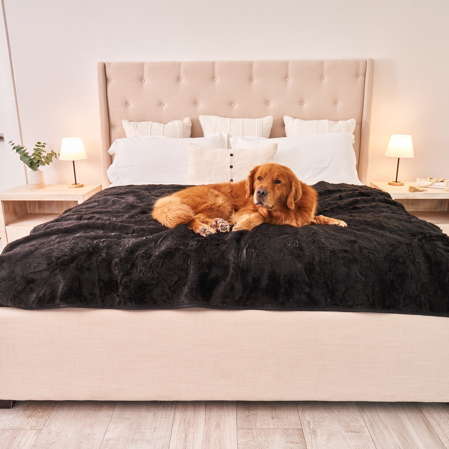 PupProtector™ Cool Comfort Waterproof Throw Blanket - Midnight Black