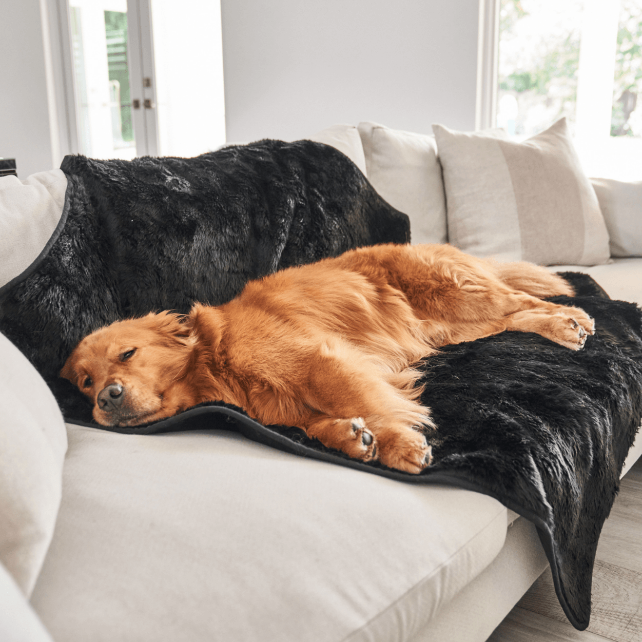 PupProtector™ Cool Comfort Waterproof Throw Blanket - Midnight Black