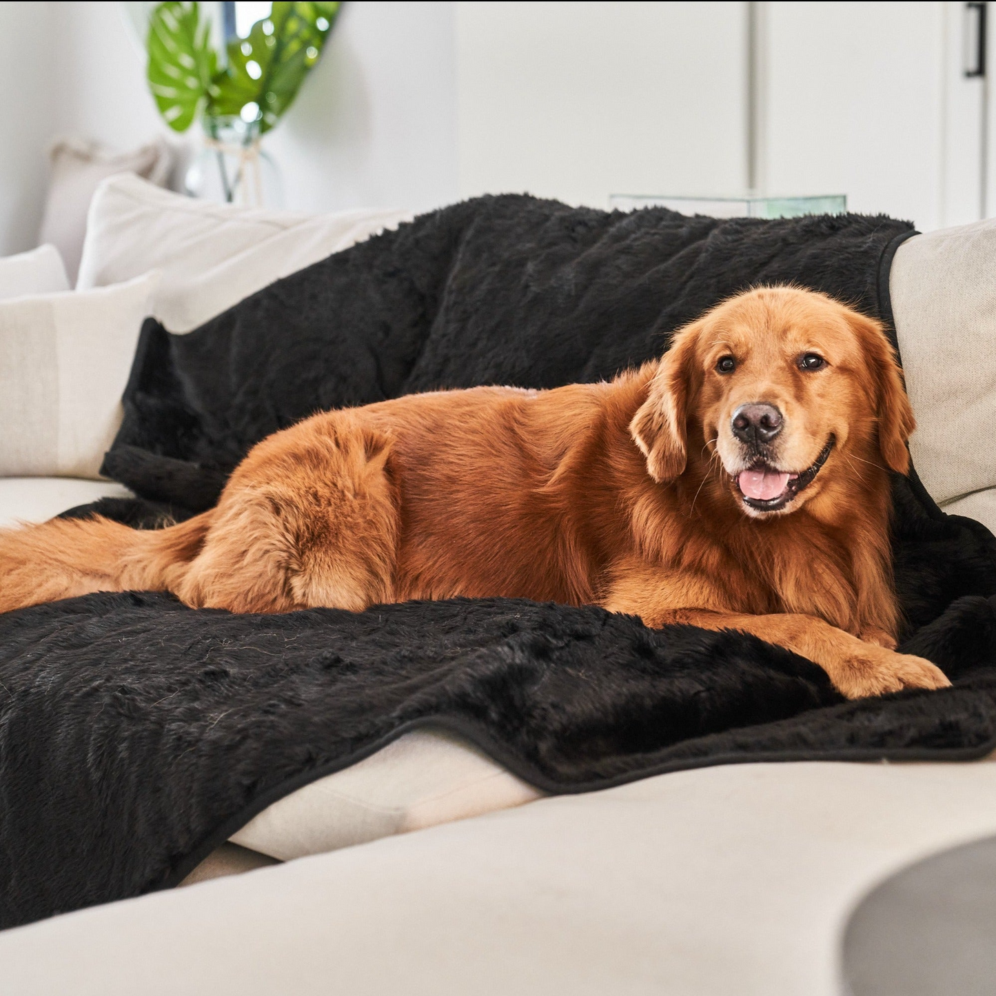 PupProtector™ Cool Comfort Waterproof Throw Blanket - Midnight Black