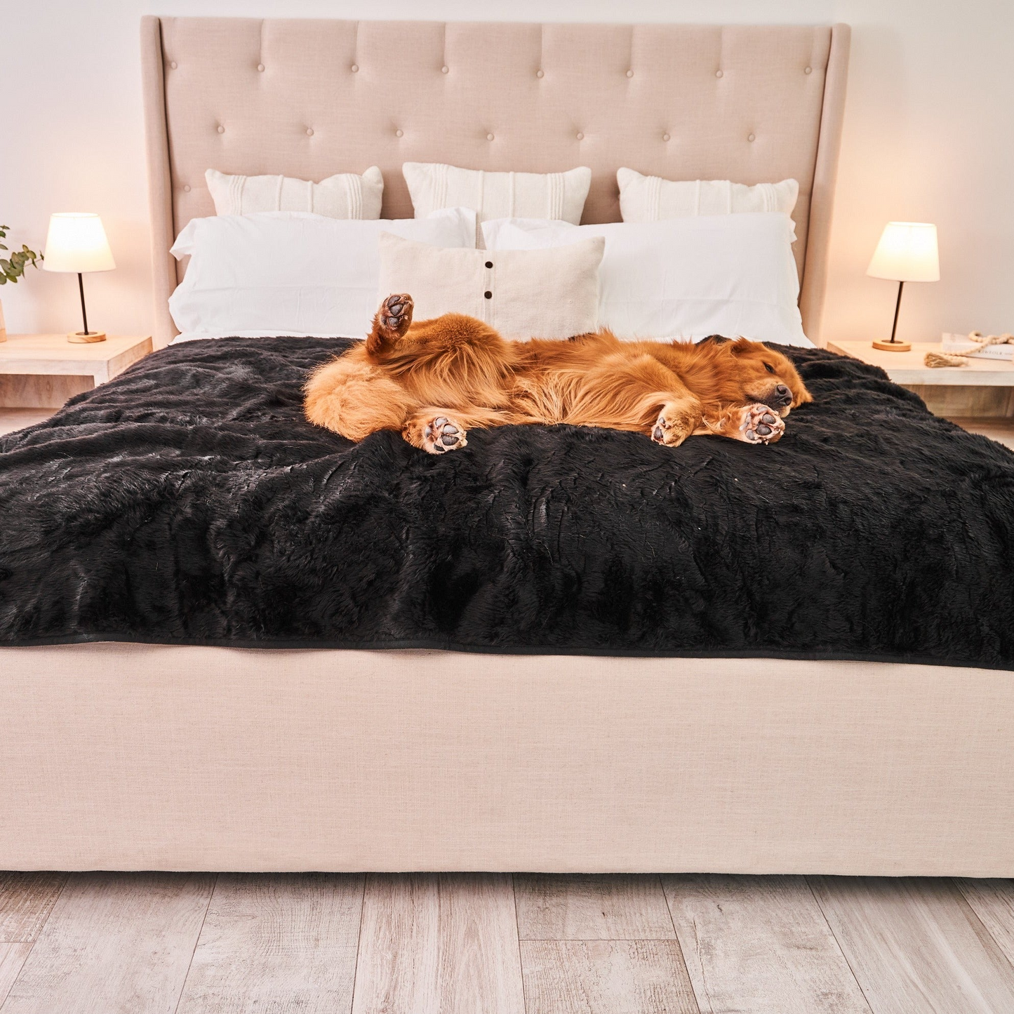 PupProtector™ Cool Comfort Waterproof Throw Blanket - Midnight Black