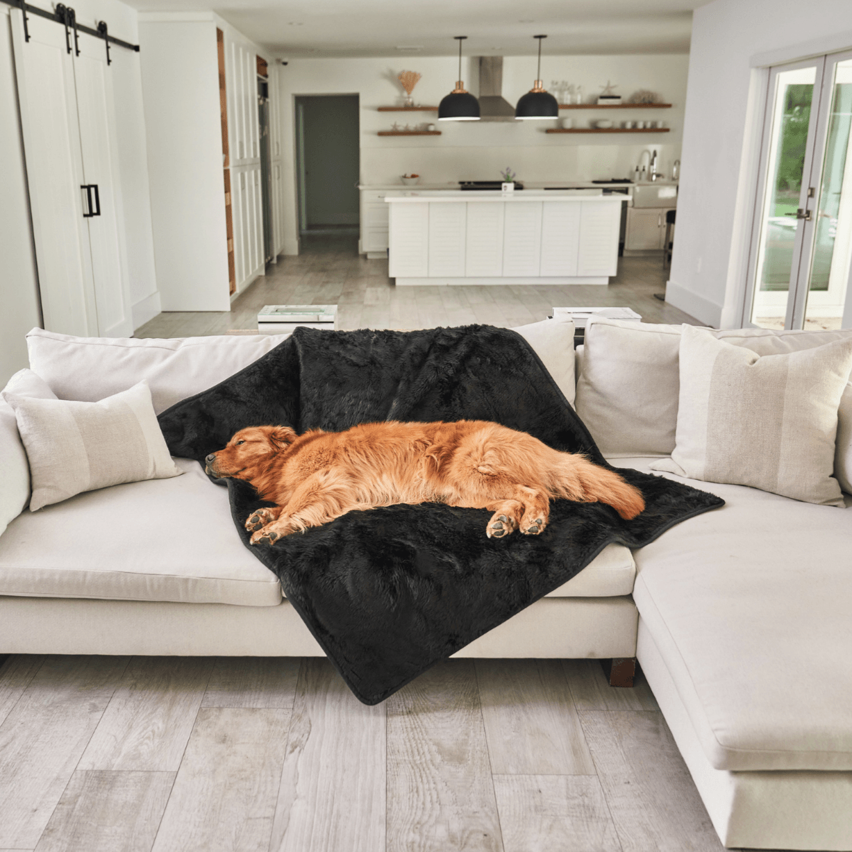 PupProtector™ Cool Comfort Waterproof Throw Blanket - Midnight Black