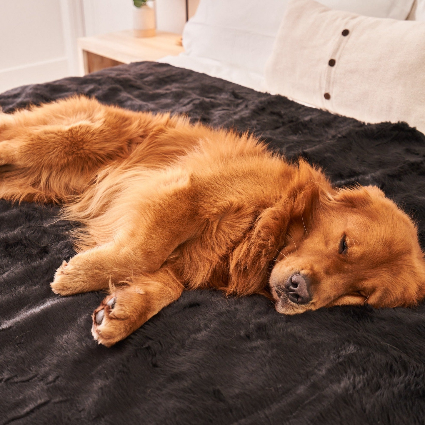 PupProtector™ Cool Comfort Waterproof Throw Blanket - Midnight Black
