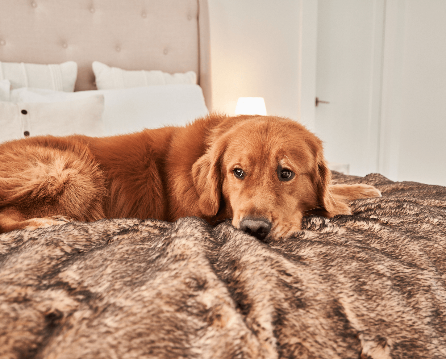 PupProtector™ Cool Comfort Waterproof Throw Blanket - Sable Tan