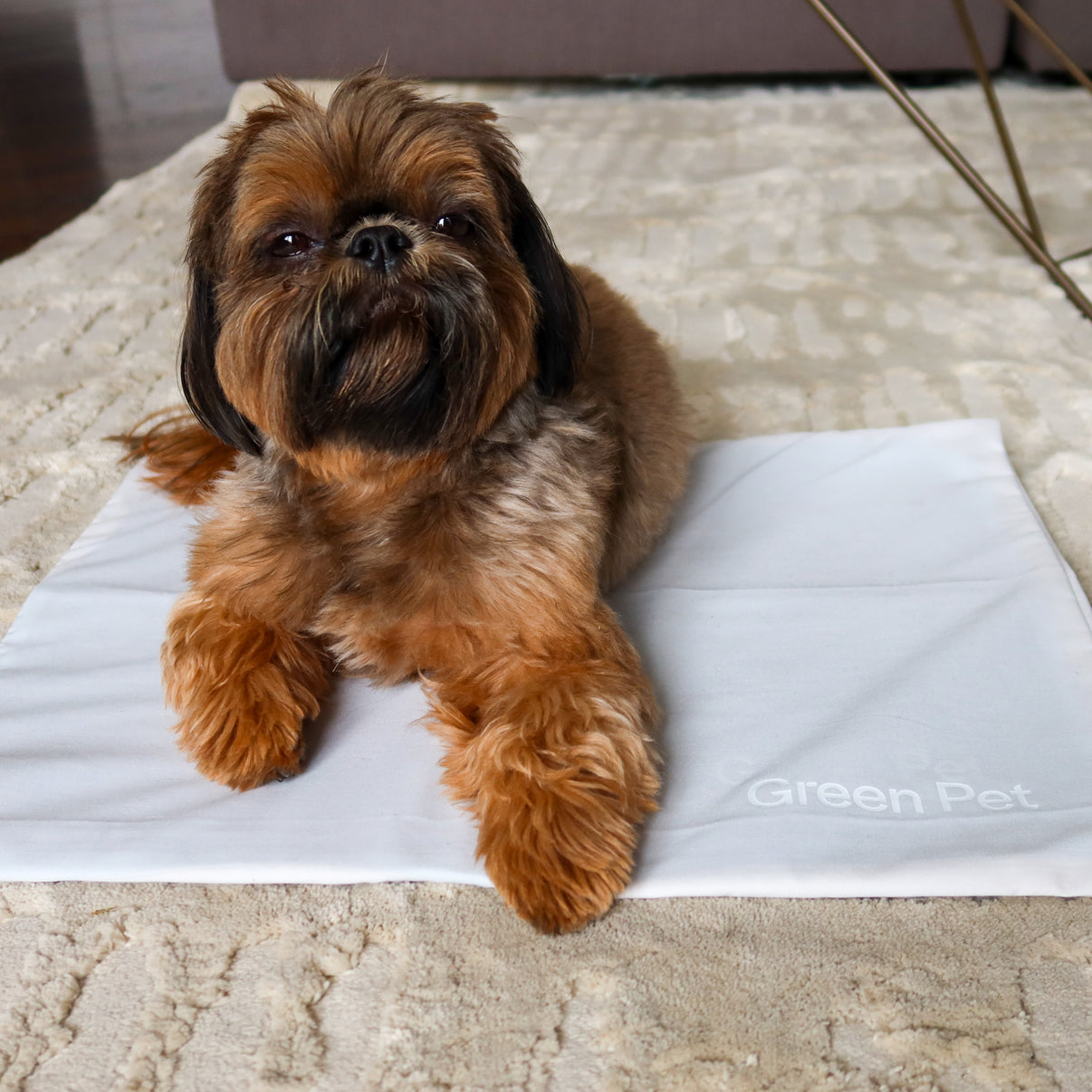 Green Pet Cool Pet Pad Cover – Extra Small Sage Protective Washable Cover, Shields Against Dirt and Scratches