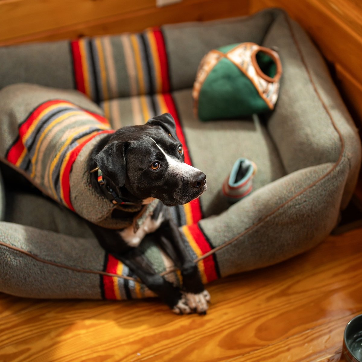 Pendleton Vintage Camp Berber Dog Coat | Reversible 370 GSM Plush Jacket with Leash Access & Adjustable Fit