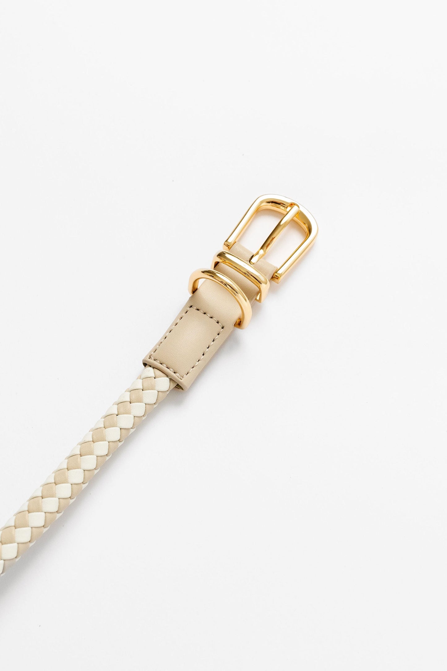 Rolled Braided Dog Collar – Hypoallergenic, Waterproof & Brass Hardware (Pupwell)