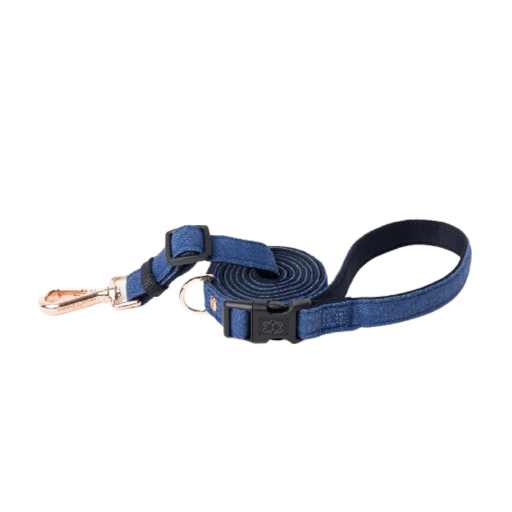 Leash