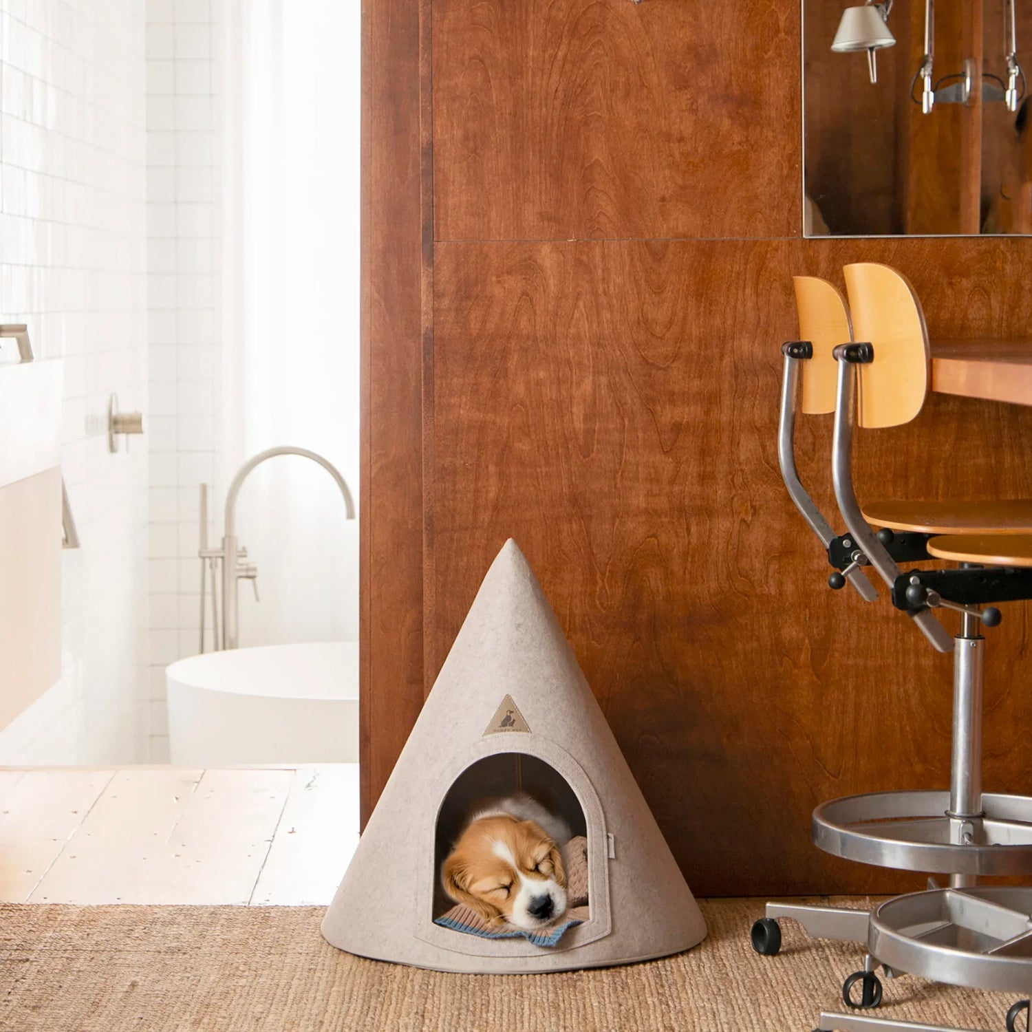 Pet Cave
