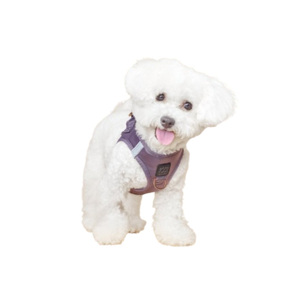 Harness Set