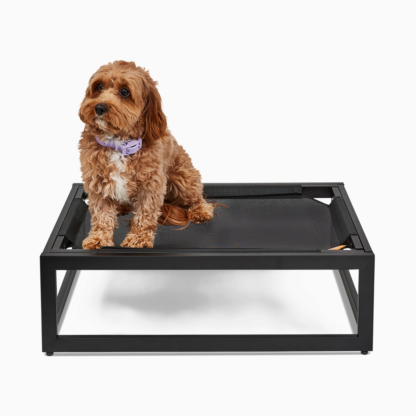 The Up Pup Dog Bed | Elevated Chew-Resistant Raised Dog Cot with Breathable Mesh & Rust-Proof Metal Frame (S–XL)