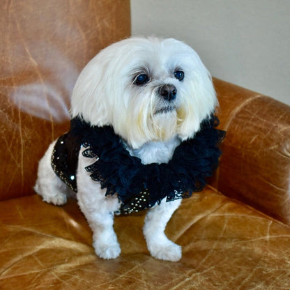 C’Mimi Designer Couture “Elektra” Dog Party Dress – Handmade Black Sequin & Lace Luxury Dress (XS–3XL, Custom Sizing Available, 6–8 Week Delivery)