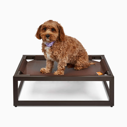 The Up Pup Dog Bed – Brown | Elevated Chew-Resistant Raised Dog Cot with Breathable Mesh & Rust-Proof Metal Frame (S/M/L)