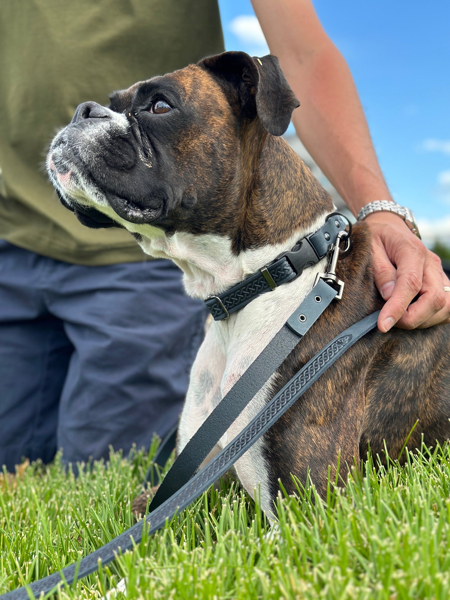 Celtic Sport Leather Dog Leash – Blue Jeans with Black Hardware and Celtic Fire & Water Rune Design