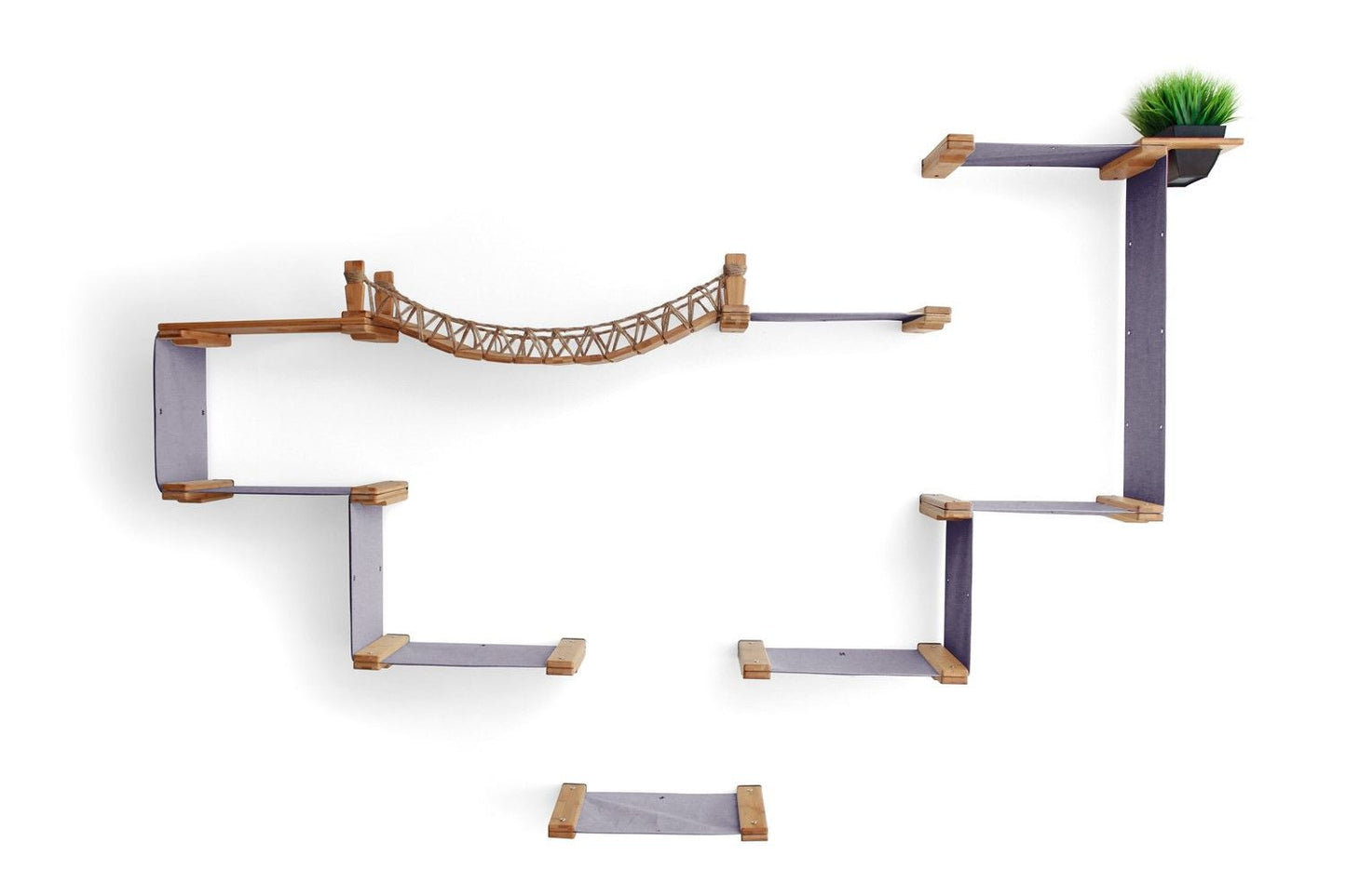 The Temple - Giant Cat Tree on Wall