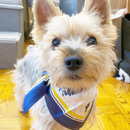 Erin 100% Silk Twill Dog Scarf & Bandana | Luxury Designer Silk Pet Accessory